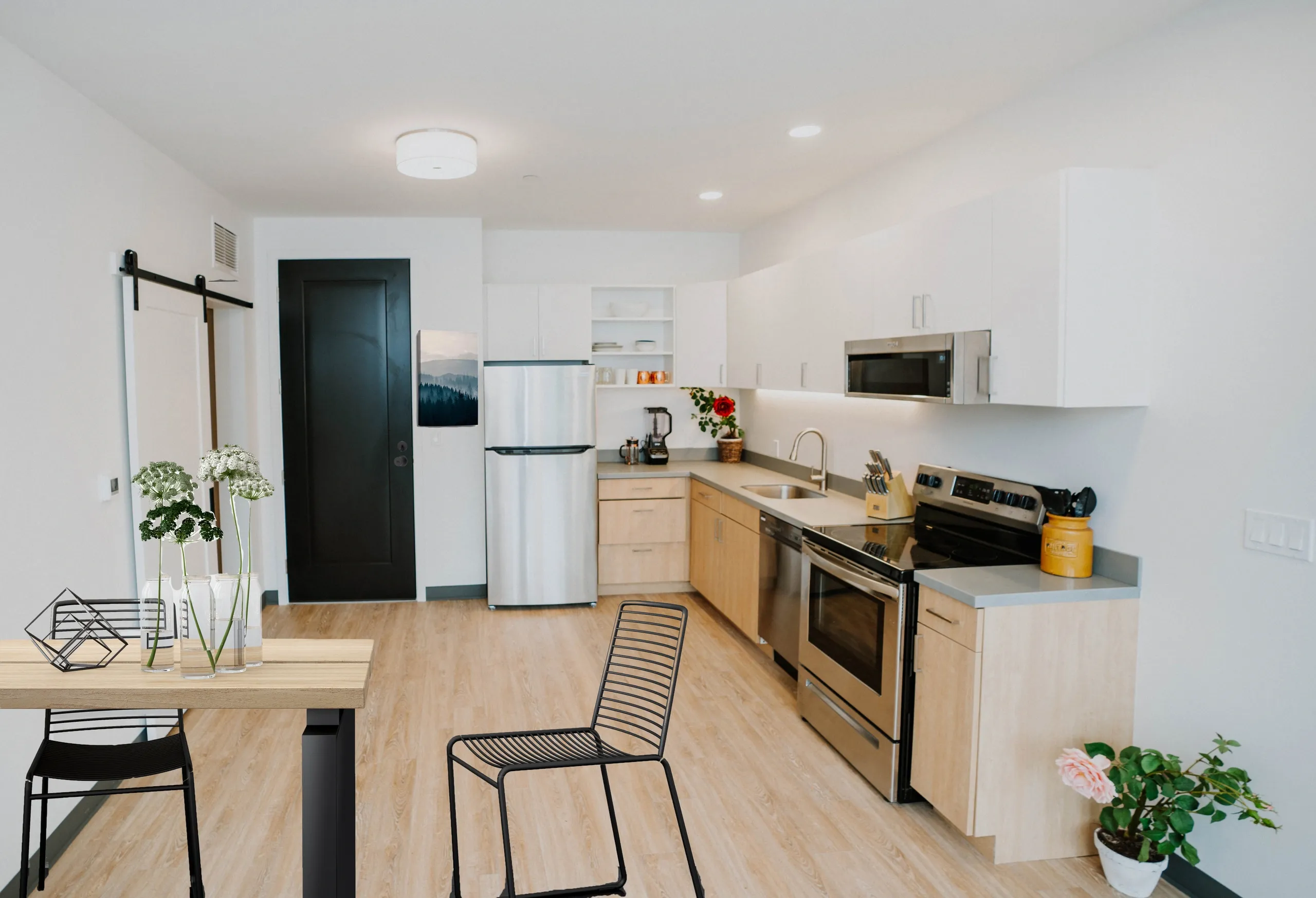 apartment for rent basalt colorado