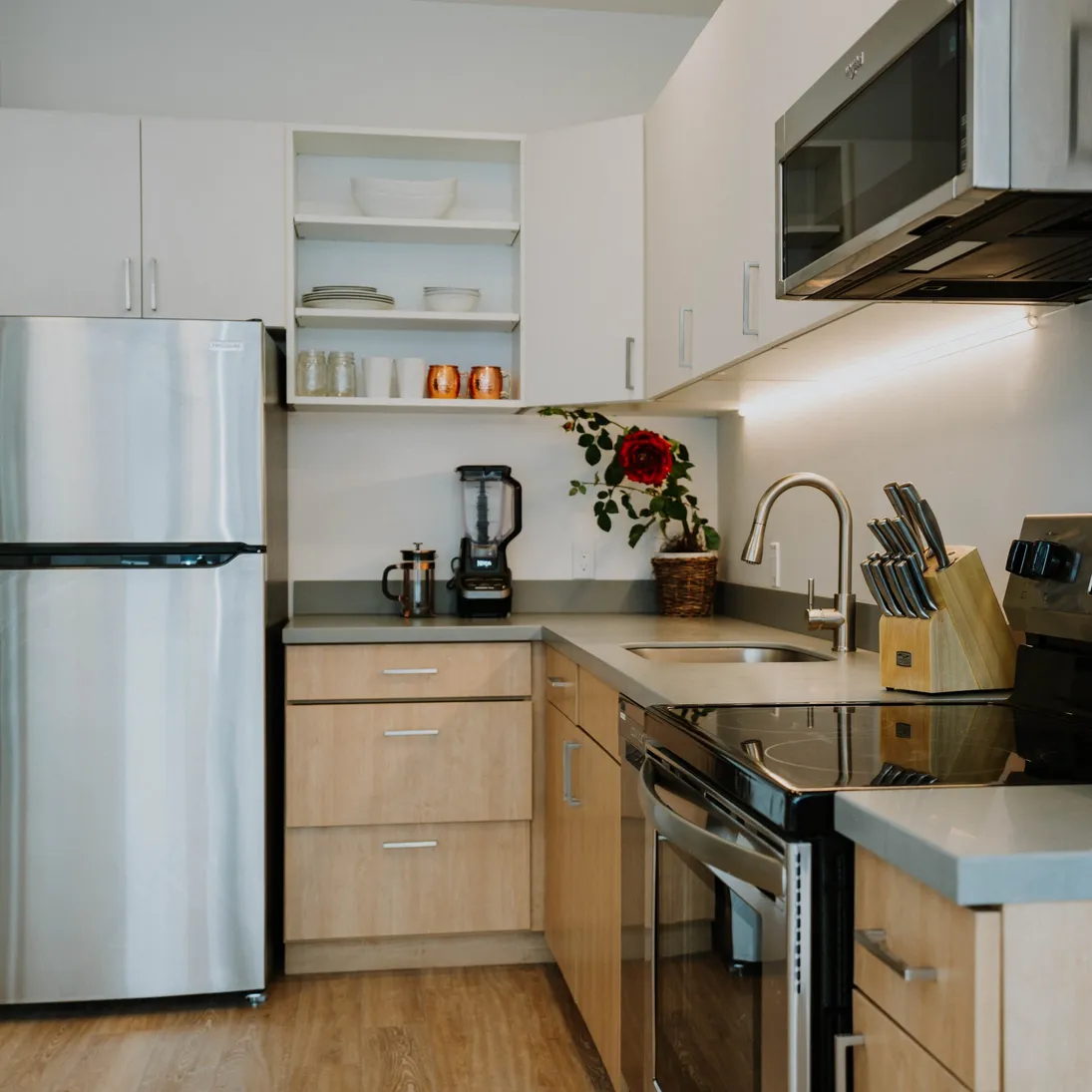 apartment for rent basalt colorado